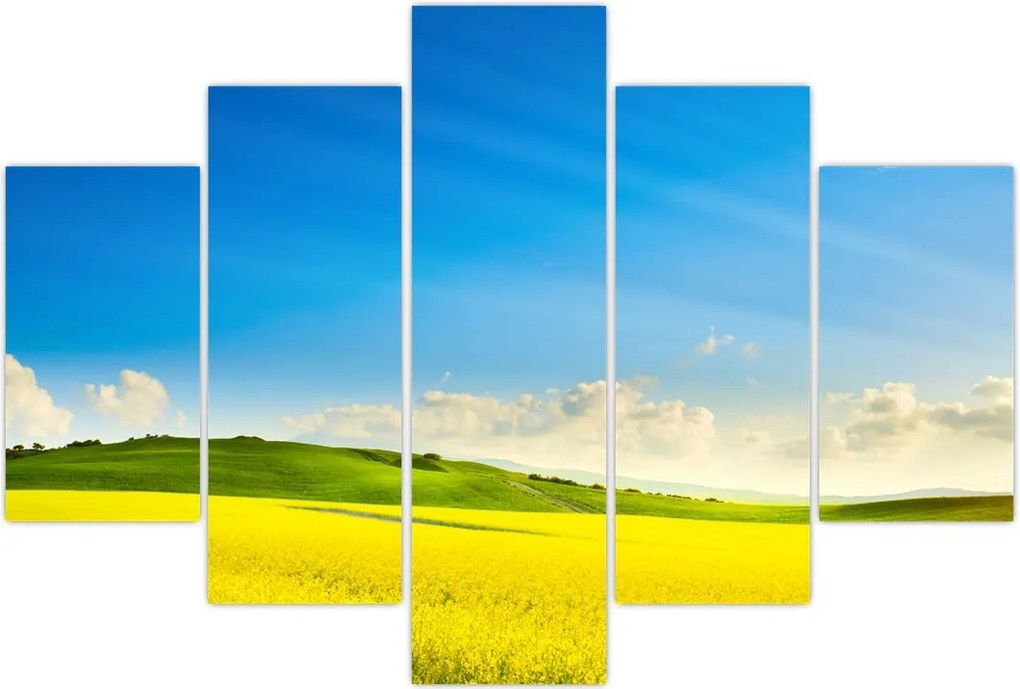 Tablou - Cerul de primăvară (150x105 cm)