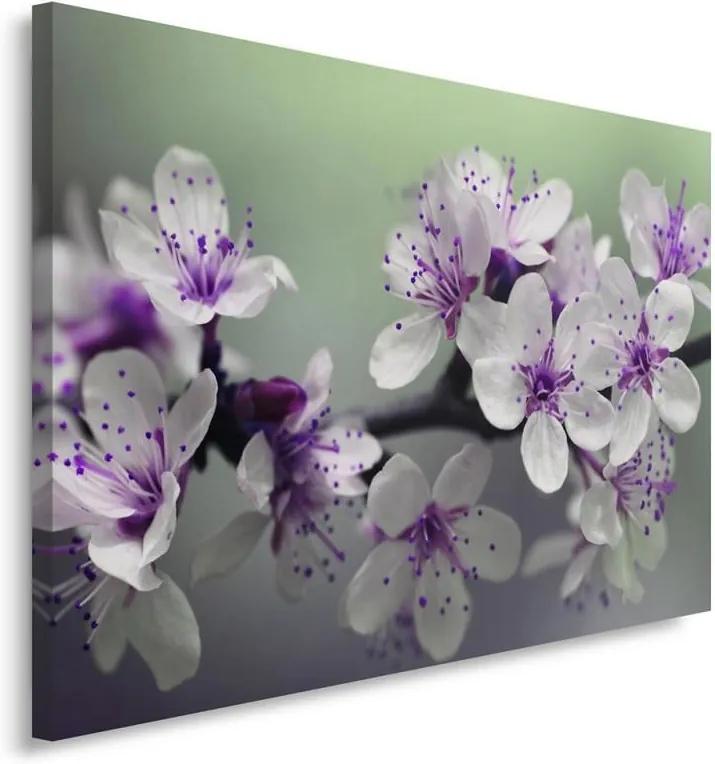 CARO Tablou pe pânză - Tree Flowers 14 40x30 cm