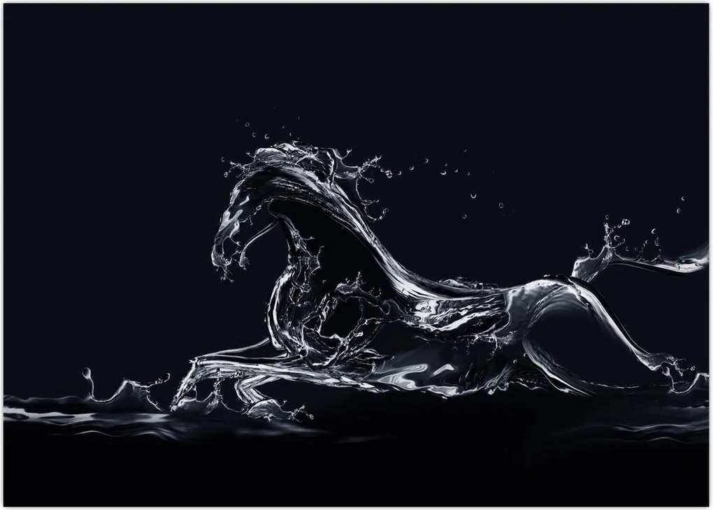 Tablou - Cal și apă (70x50 cm)