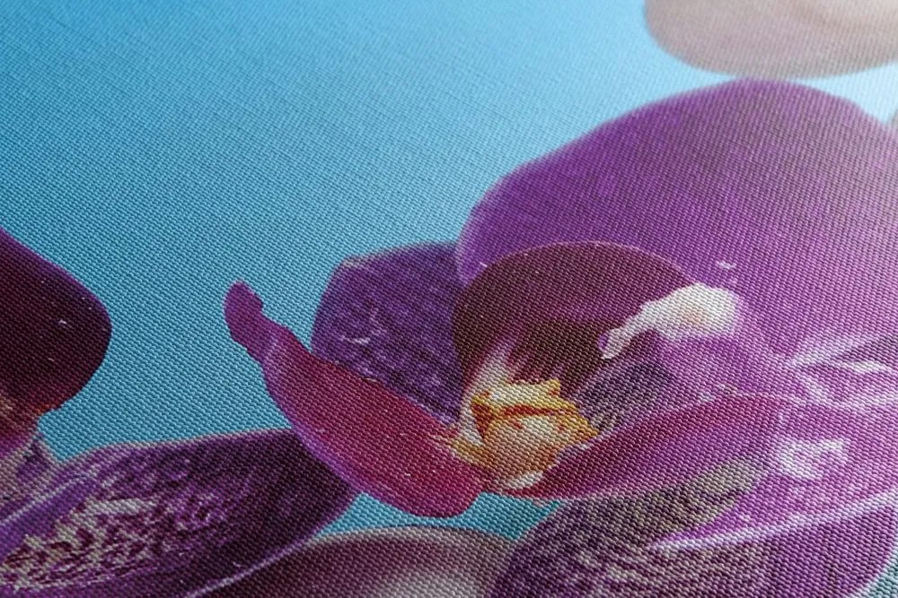 Tablou wellness natura moartă