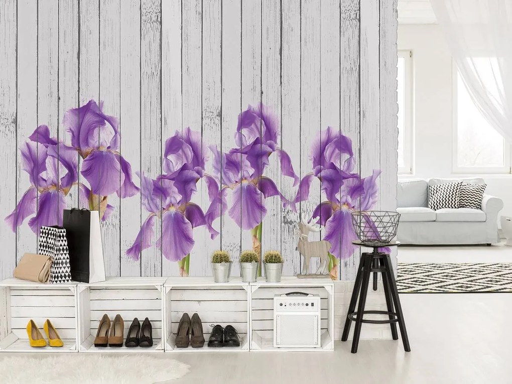 Fototapet - Iris pe scănduri de lemn (254x184 cm)