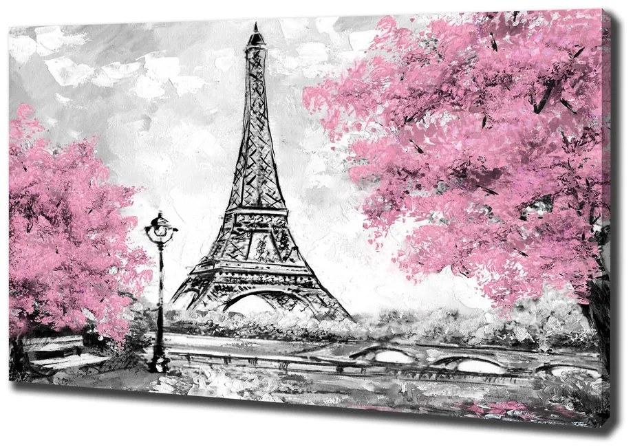 Pictură pe pânză Turnul eiffel din paris