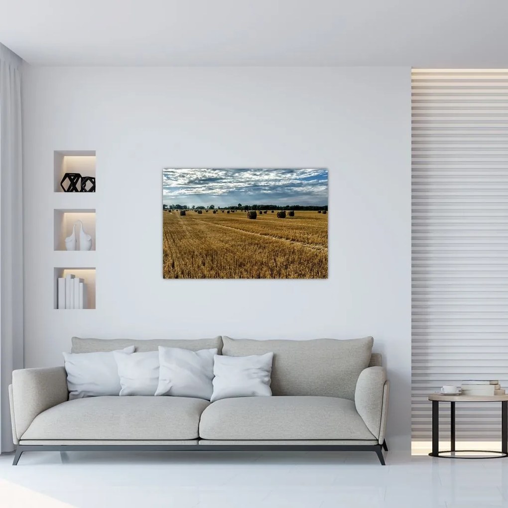 Tablou cu câmp recoltat (90x60 cm)