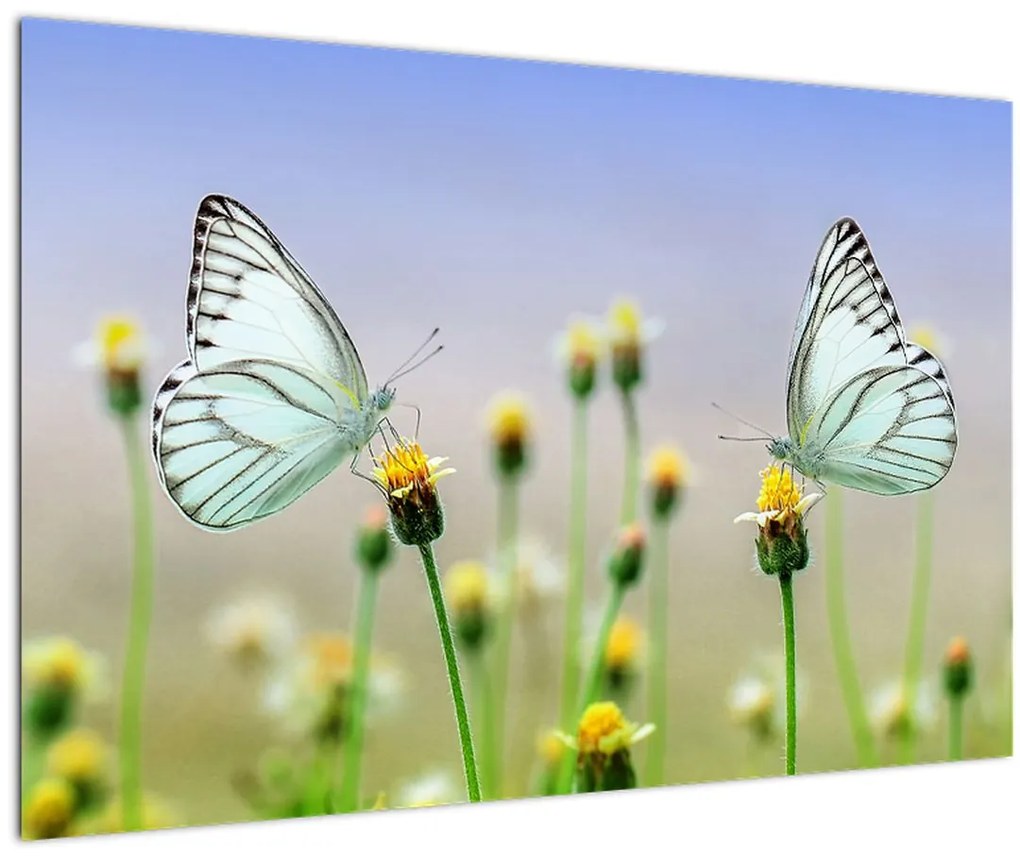 Tablou cu fluture pe floare (90x60 cm)