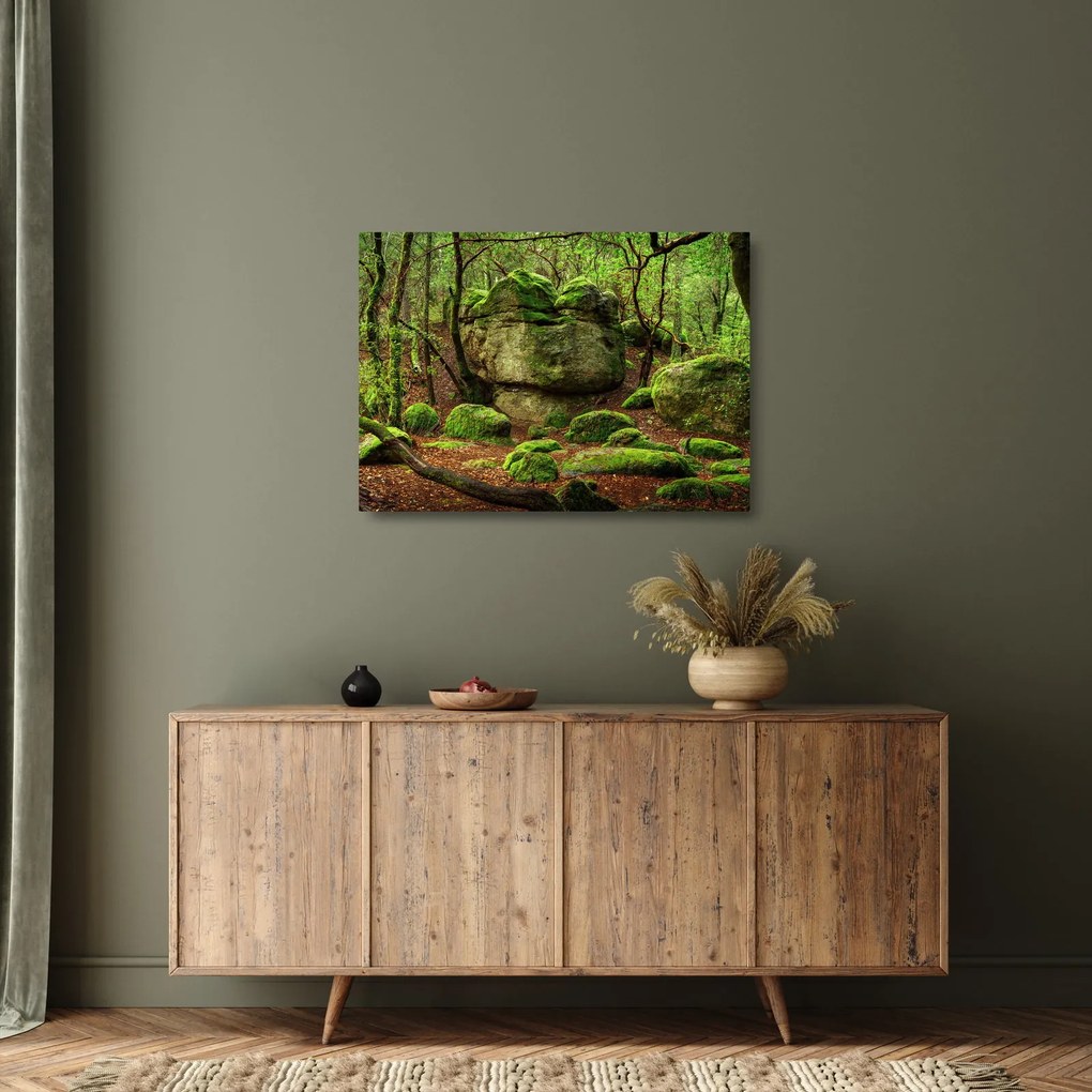 Tablou pe sticlă cu pădurea fermecată (70x50 cm)