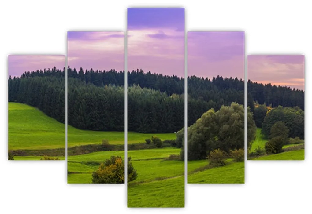 Tablou cu lunca (150x105 cm)