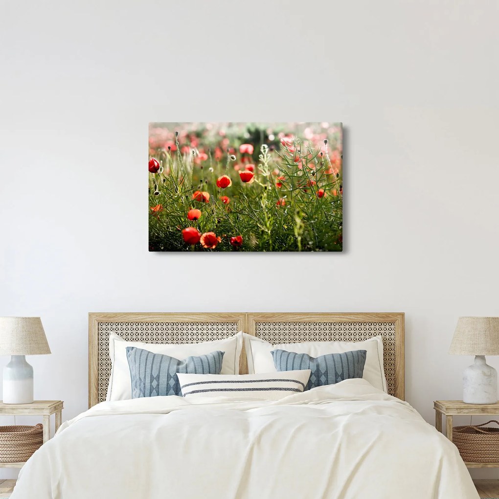 Tablou cu maci (90x60 cm)