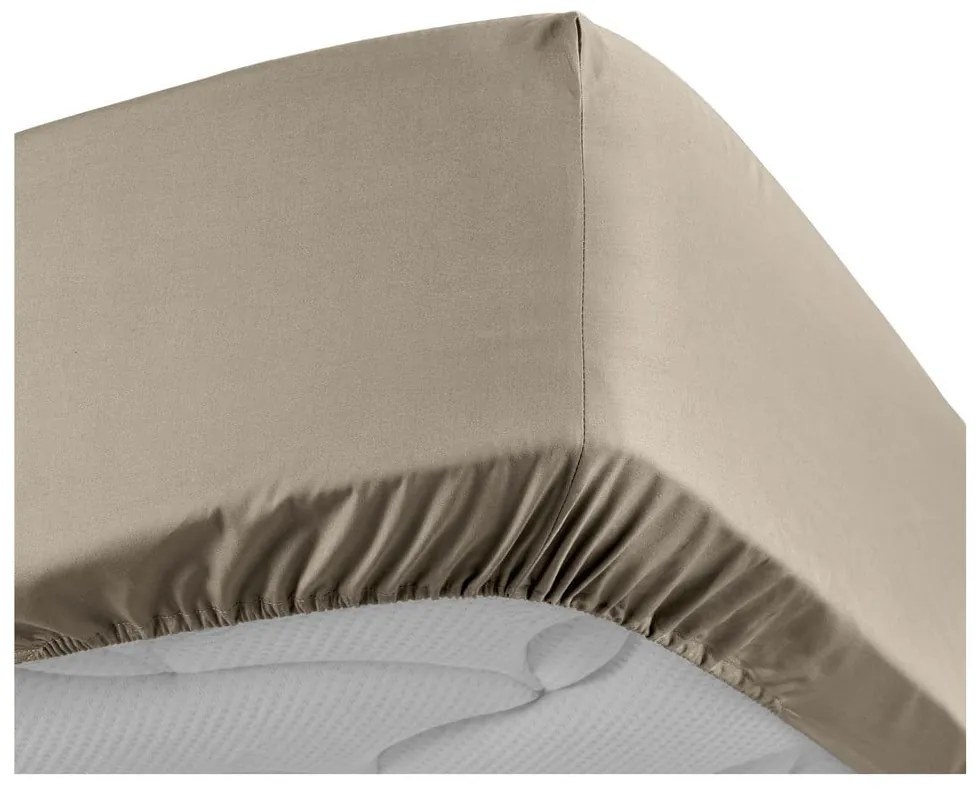 Cearceaf maro deschis din bumbac percal cu elastic 90x190 cm Percaline – douceur d'intérieur