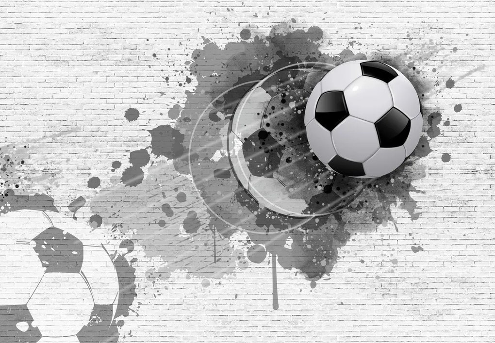 Fototapet - Minge de fotbal (147x102 cm)