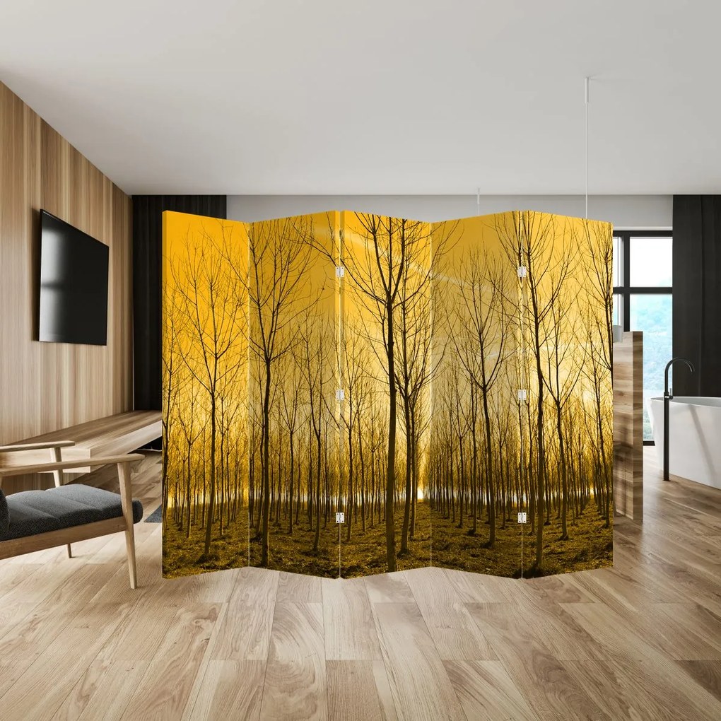 Paravan - Pădure în apus de soare (210x170 cm)