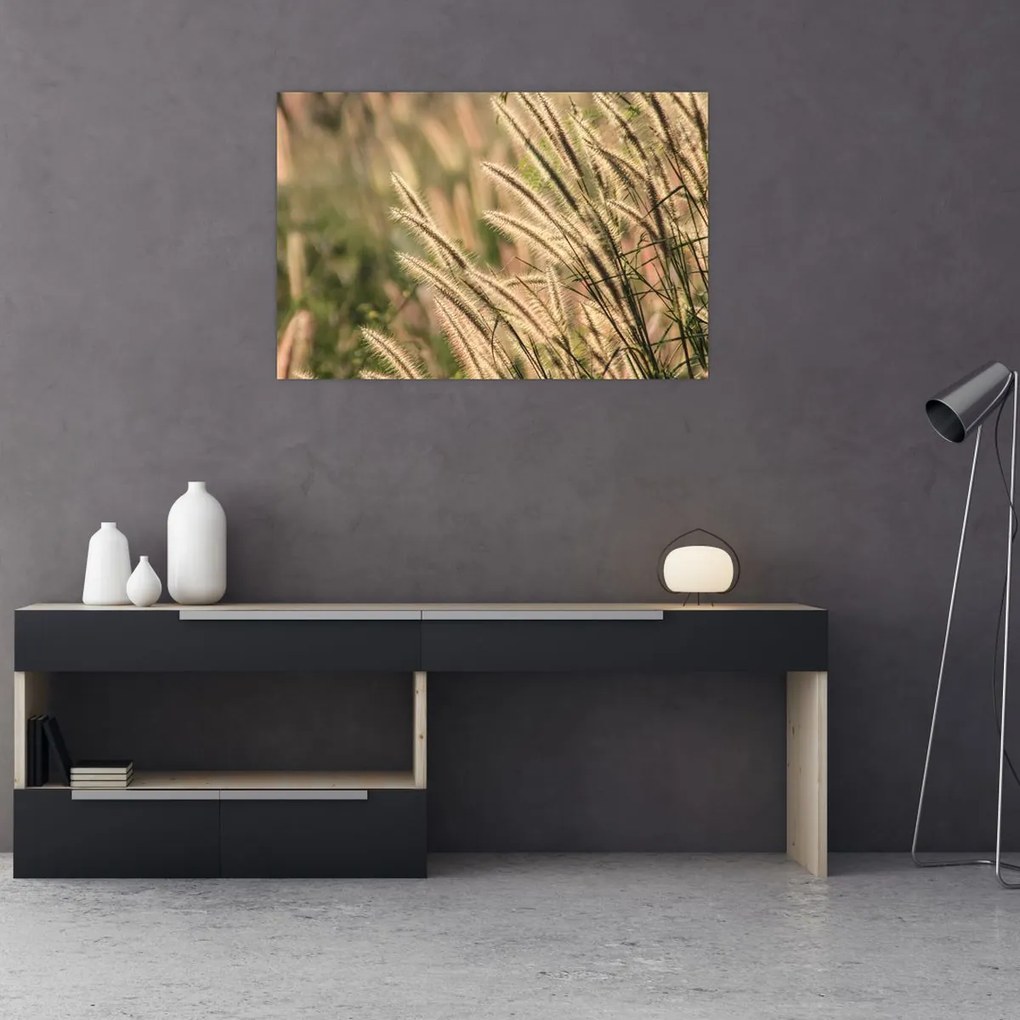 Tablou - Cereale (90x60 cm)