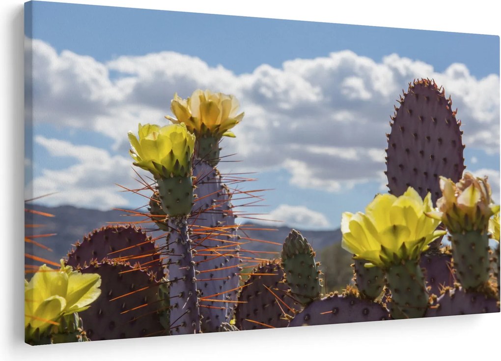 Tablou cu floarea de cactus Opunție (90x60 cm)