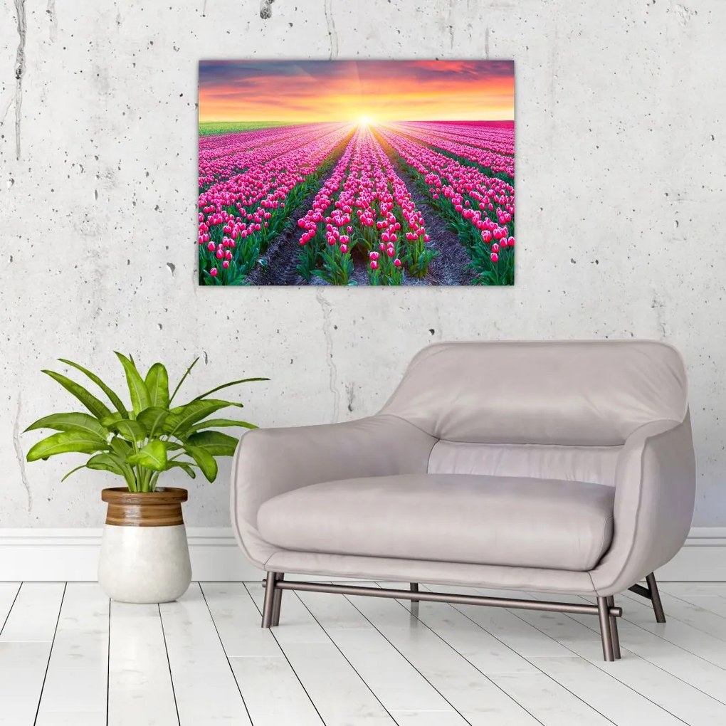 Tablou pe sticlă cu câmp de lalele cu soare (70x50 cm)
