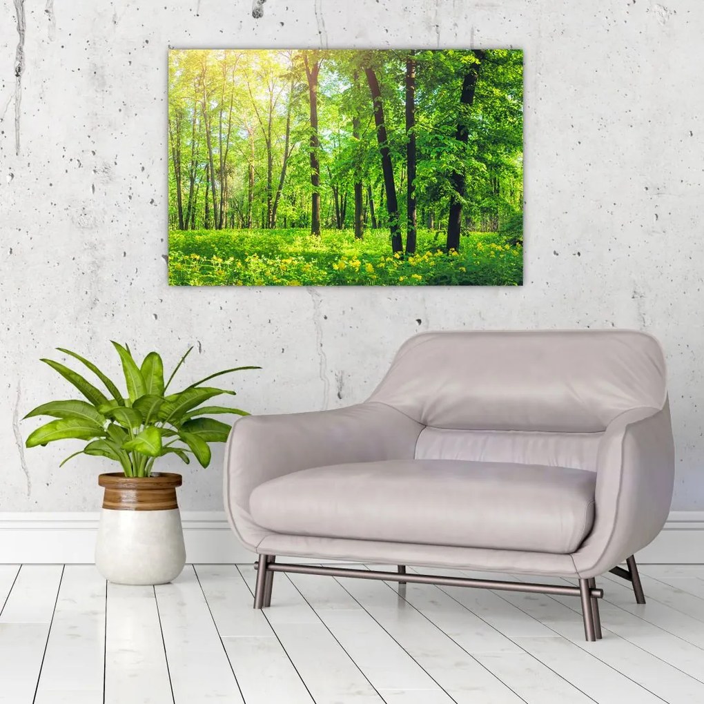 Tablou - Pădurea cu frunze de primăvară (90x60 cm)