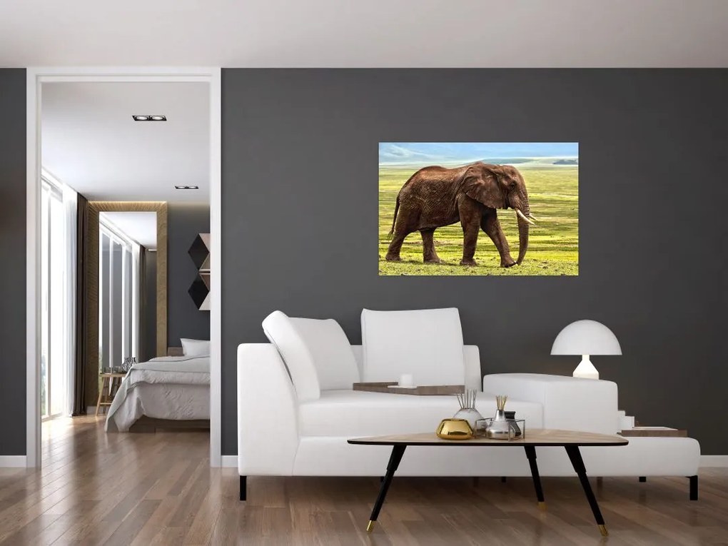 Tablou - Elefantul (90x60 cm)