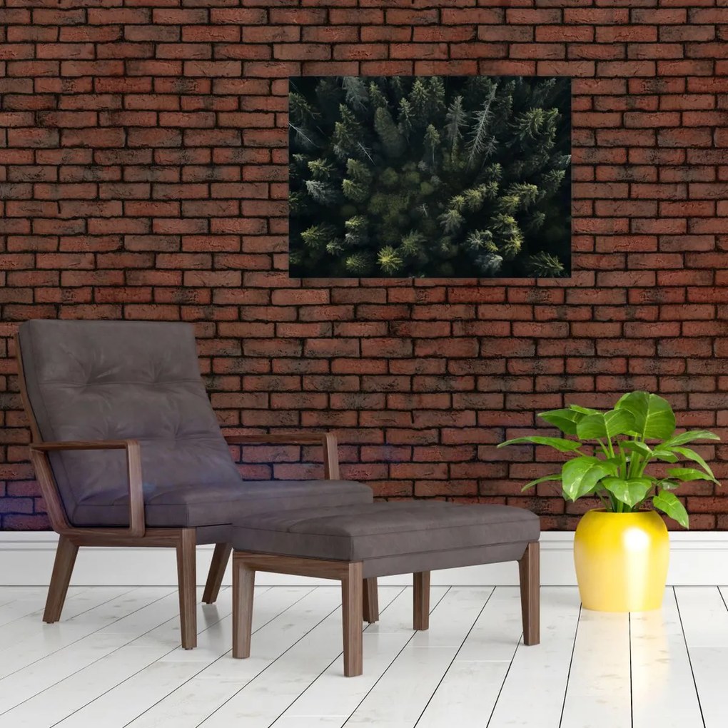 Tablou - Pădure (70x50 cm)