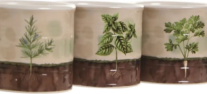 Set 3 ghivece decorative pentru plante aromatice din ceramică, 13,5×13,5×11,5 cm, „Herboria"