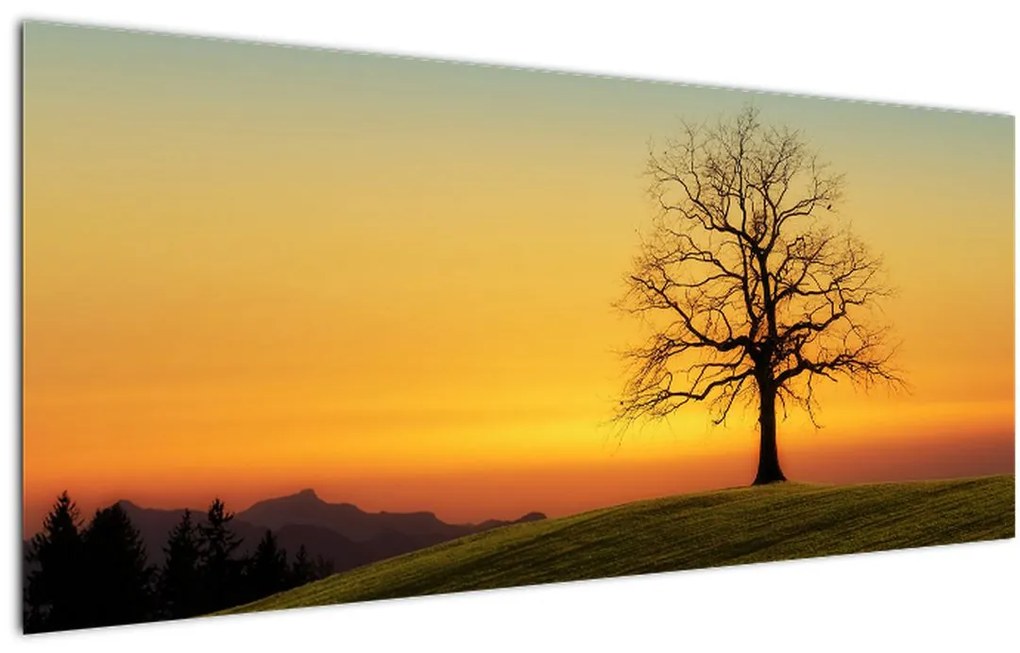 Tablou - Copacul în câmp (120x50 cm)