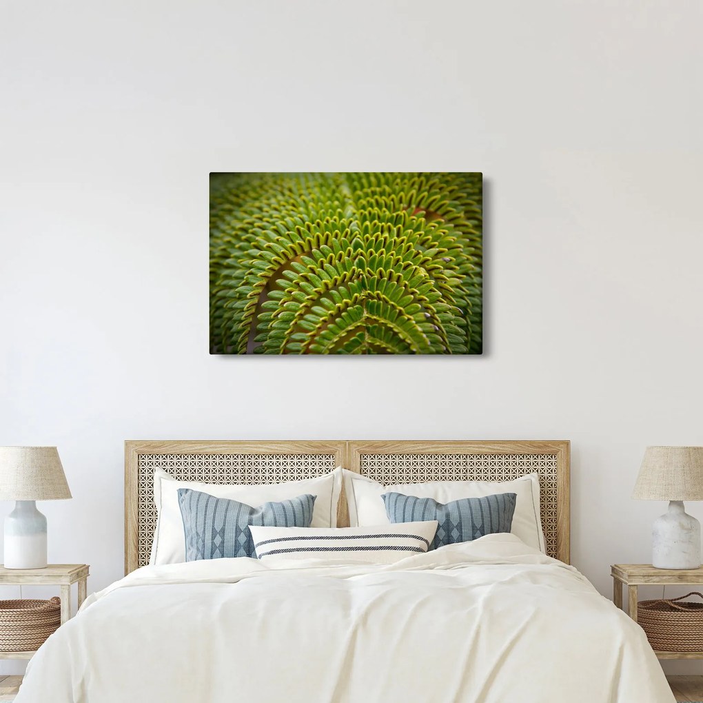 Tablou - Fern (90x60 cm)