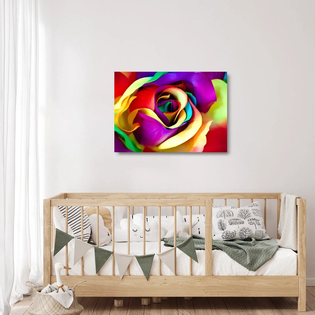 Tablou pe sticlă - Trandafir colorat (70x50 cm)