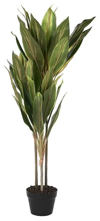 Plantă decorativă dkd home decor dracaena verde pe (50 x 50 x 120 cm)