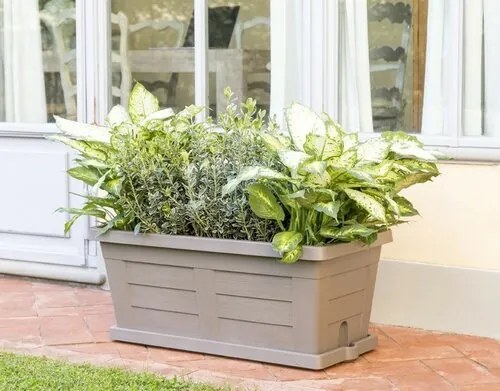 Jardinieră cu volum mare Bama Legno cappuccino, 80 x 40 x 35 cm, 80 cm