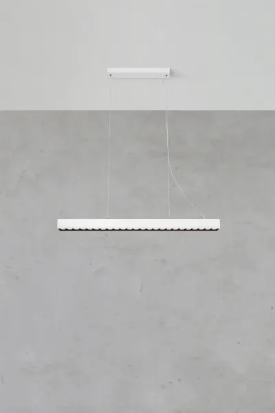 Markslöjd 108892 - Lustra LED reglabilă suspendată pe cablu PLANO LED/38W/230V albă
