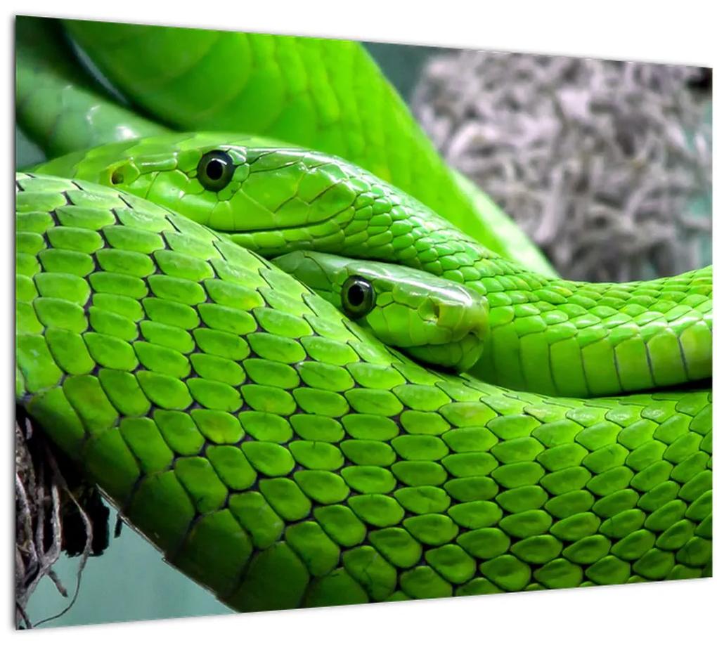 Tablou  cu șerpi verzi (70x50 cm), în 40 de alte dimensiuni noi