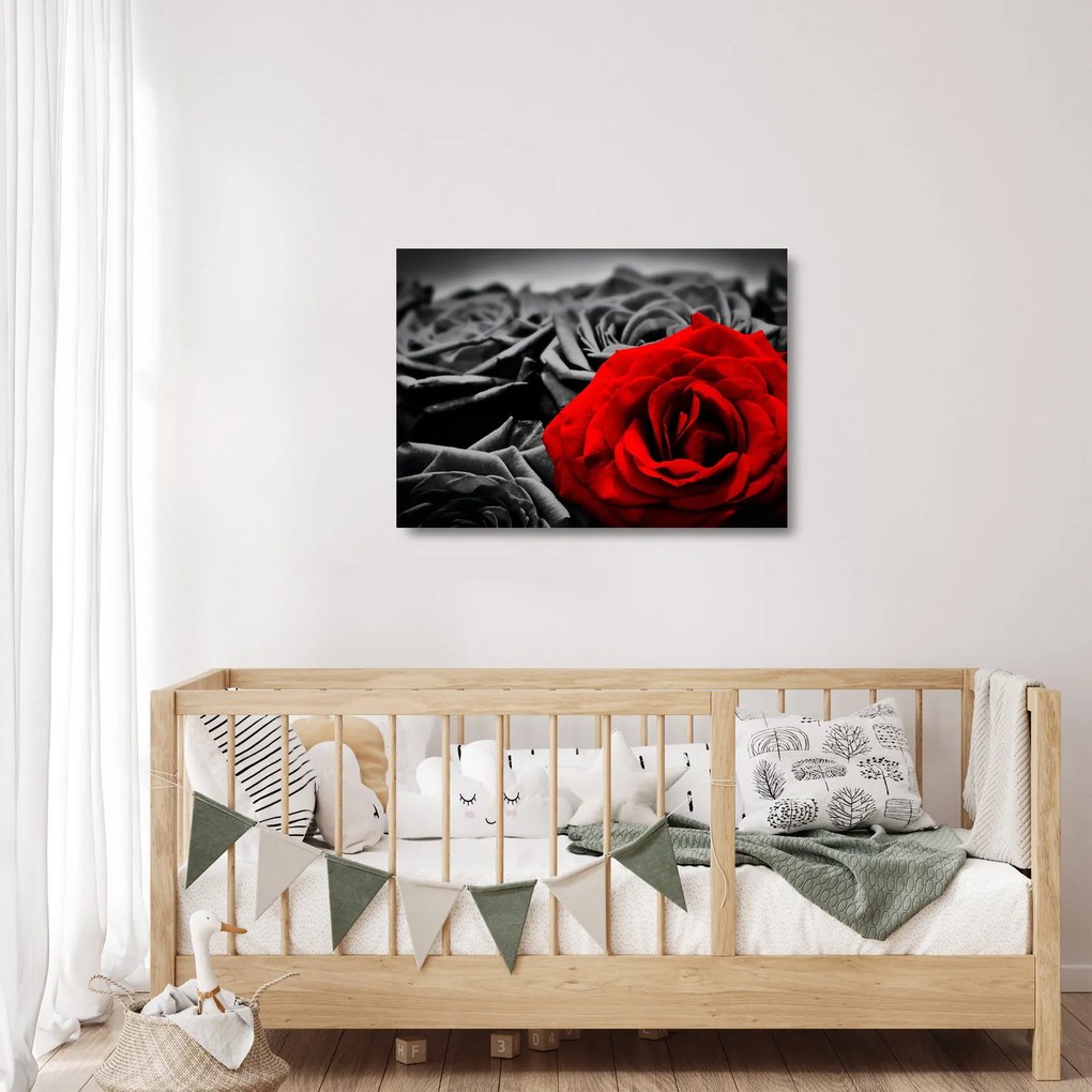 Tablou pe sticlă - Flori de trandafir (70x50 cm)