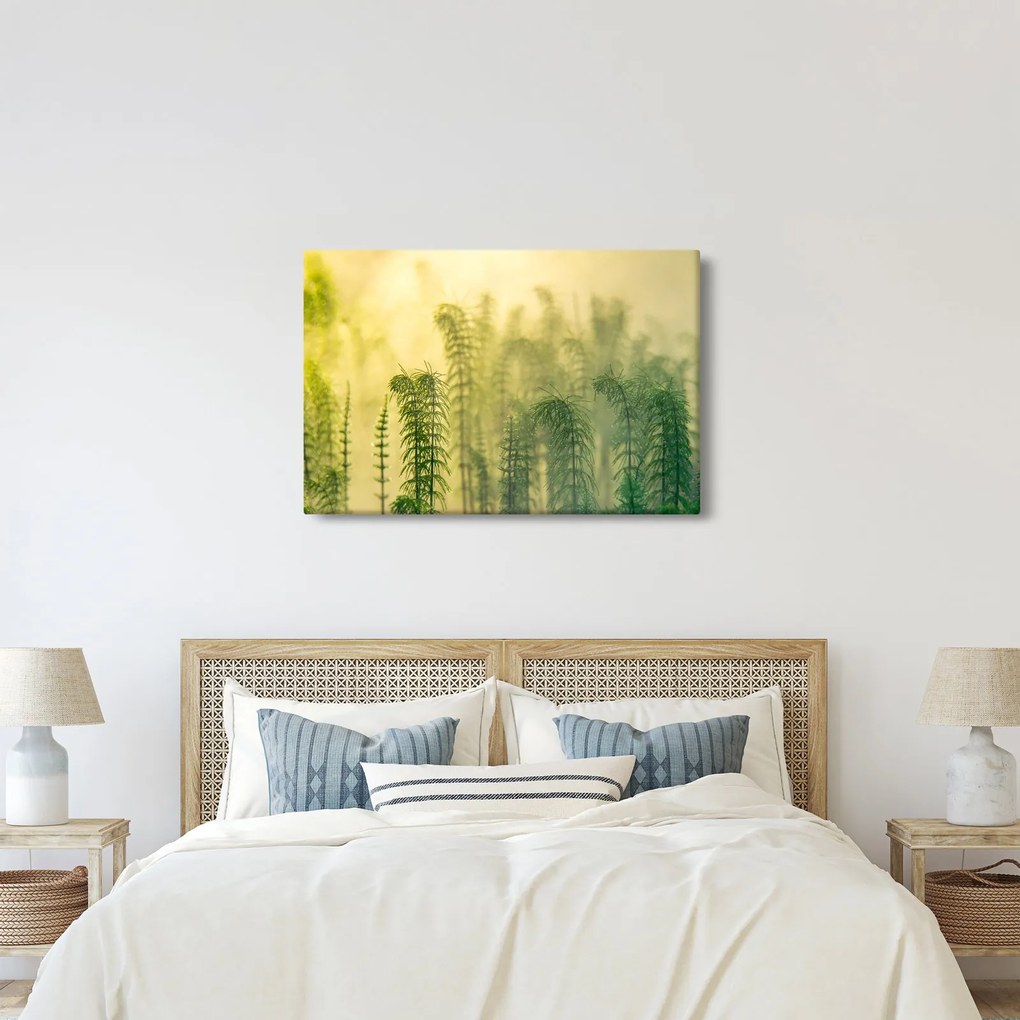 Tablou - Detaliu de primăvară natura cețoasă (90x60 cm)