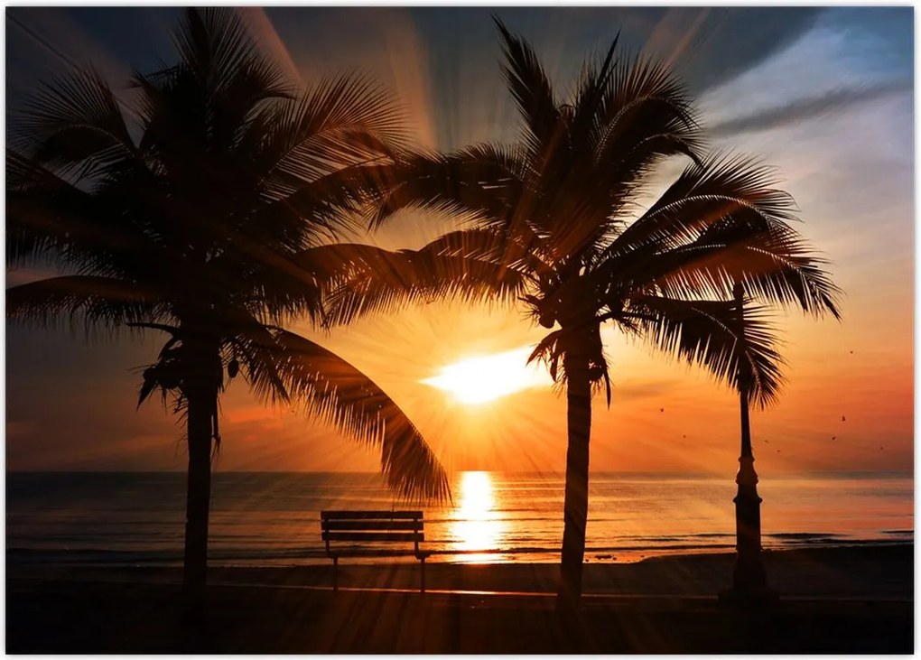 Tabou - Privire la mare (70x50 cm)