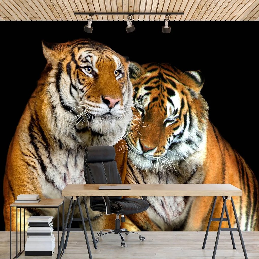 Fototapet - Tigri (254x184 cm)