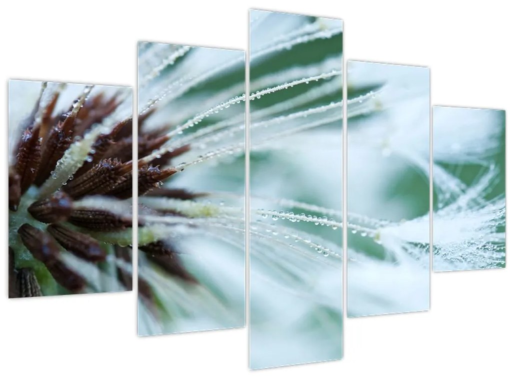 Tablou - Detaliu floare (150x105 cm)