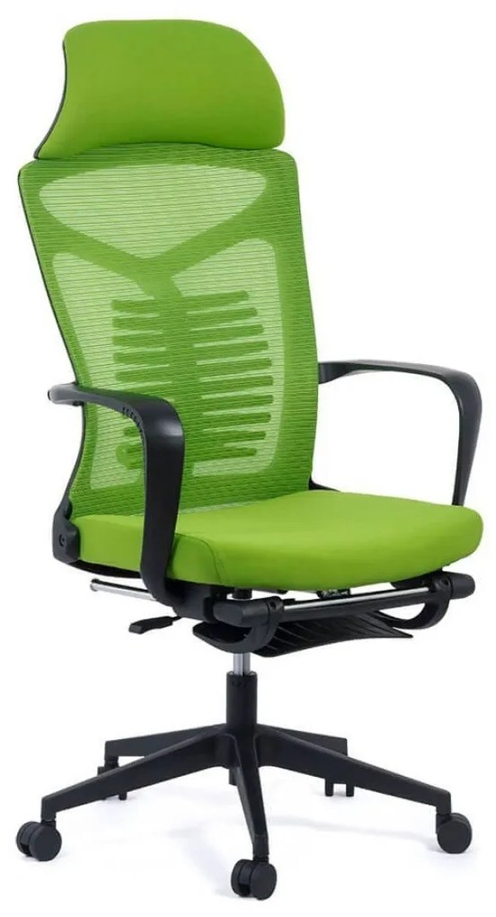 SCAUN ERGONOMIC CU SPATAR RABATABIL SI SUPORT PICIOARE AZAY INTERIORS 9502 VERDE