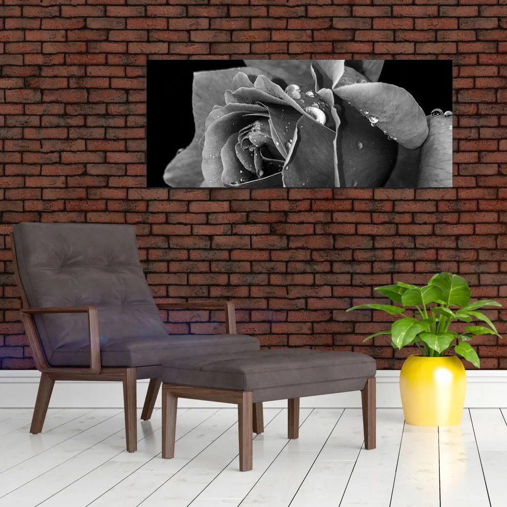 Tablou cu trandafir - albneagră (120x50 cm)