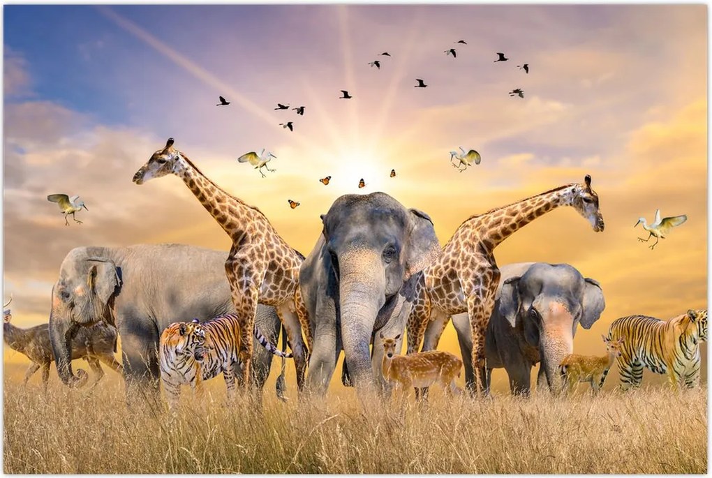 Tablou - Animae din Africa (90x60 cm)