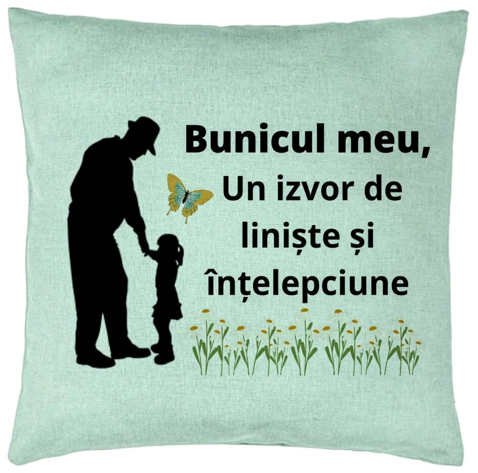 Perna Decorativa pentru Bunicul 5, 40x40 cm, Verde Menta, Husa Detasabila, Burduf