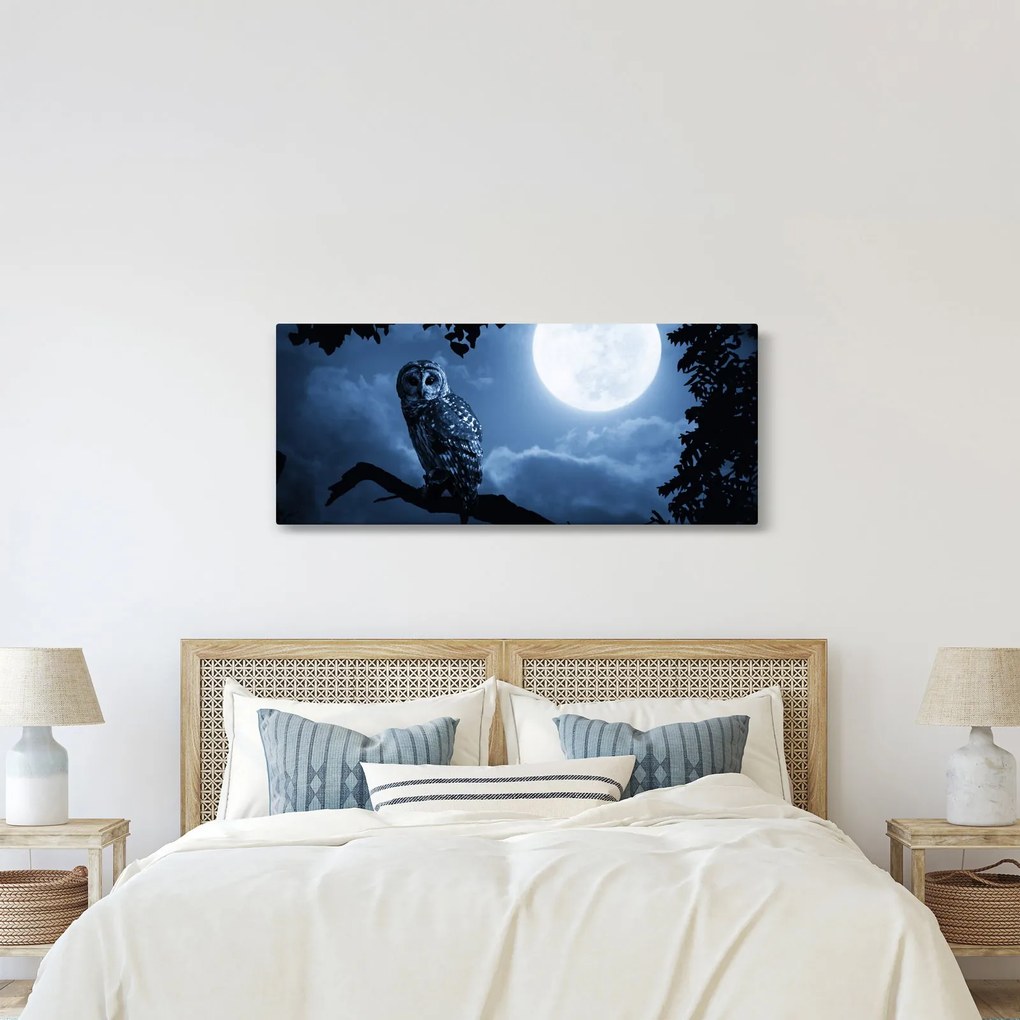 Tablou - Bufnița de noapte (120x50 cm)