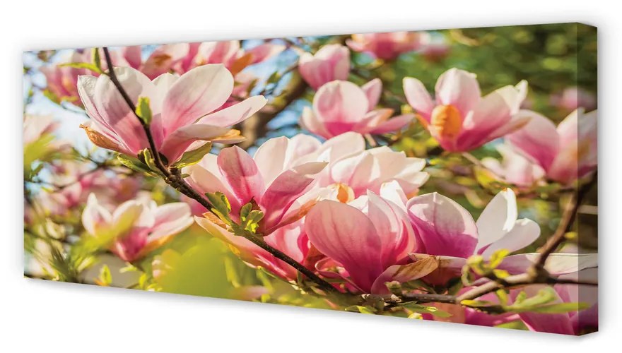 Tablouri canvas magnolie roz