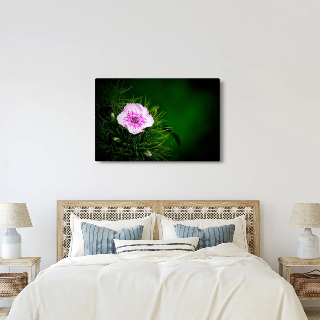 Tablou cu floare roz (90x60 cm)