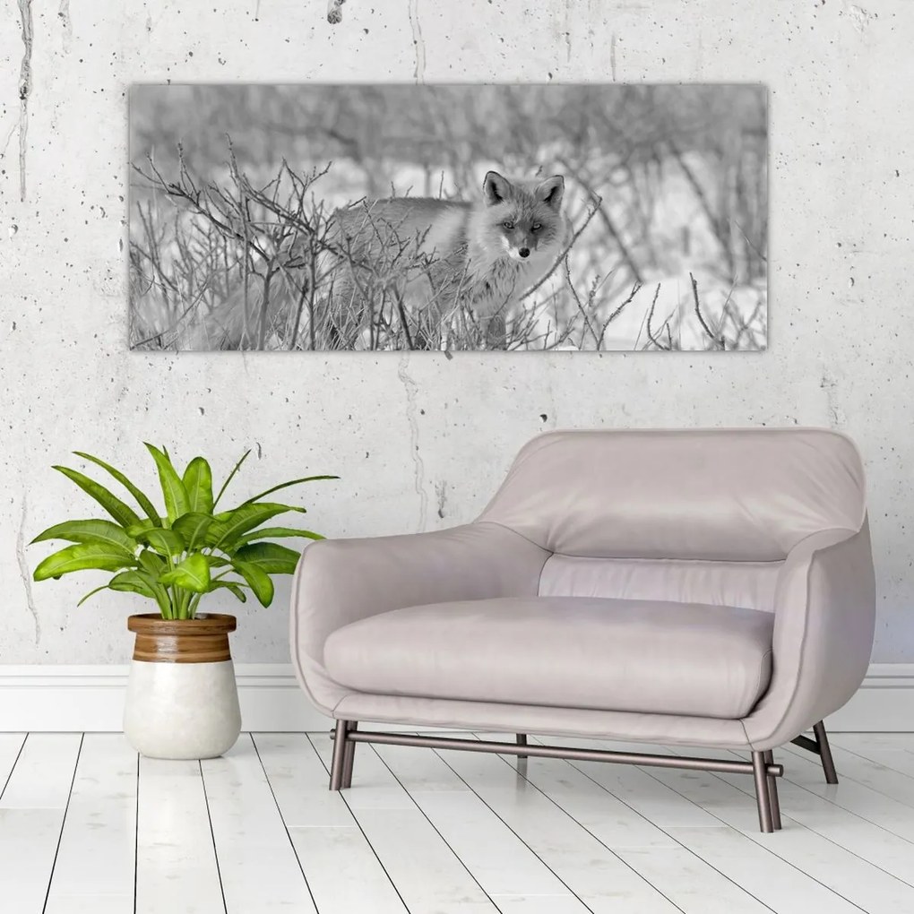 Tablou - Vulpe,alb-negru (120x50 cm)