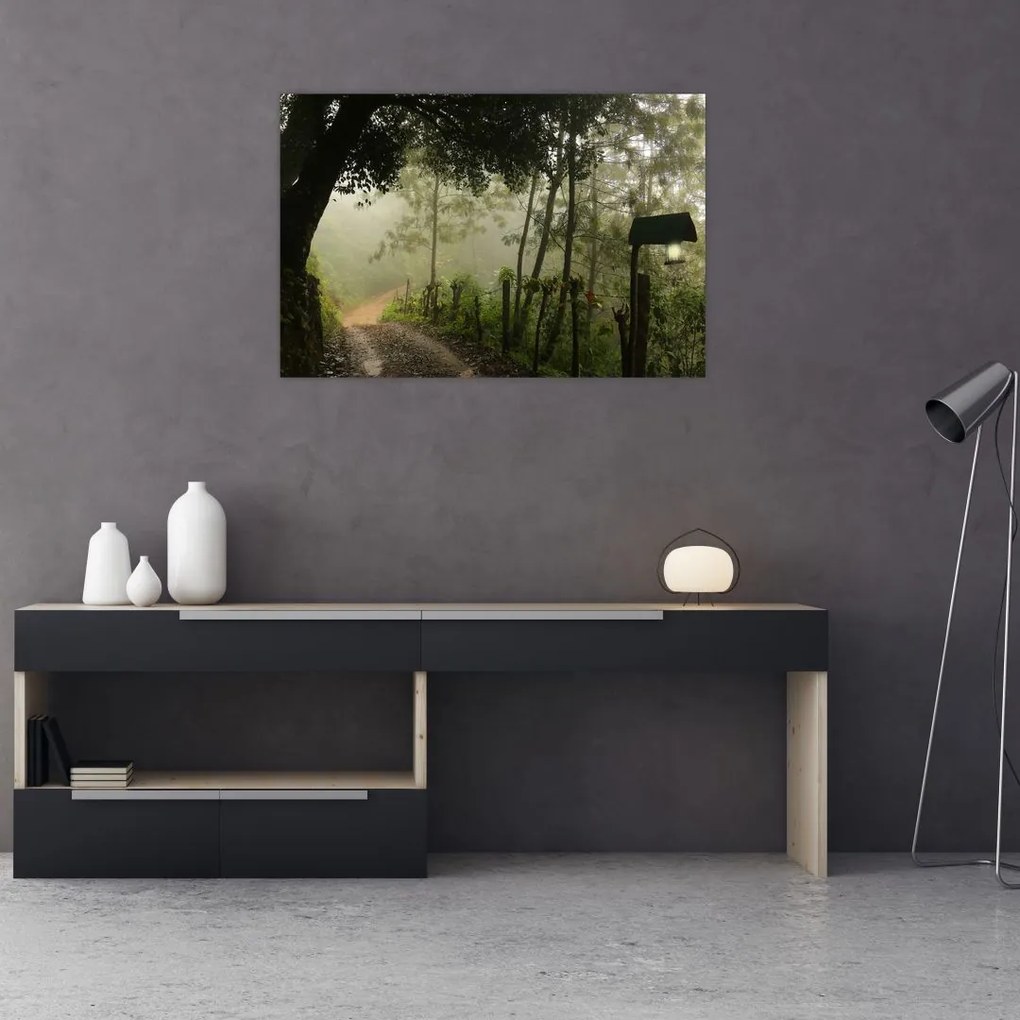 Tablou cu ceața de dimineața (90x60 cm)