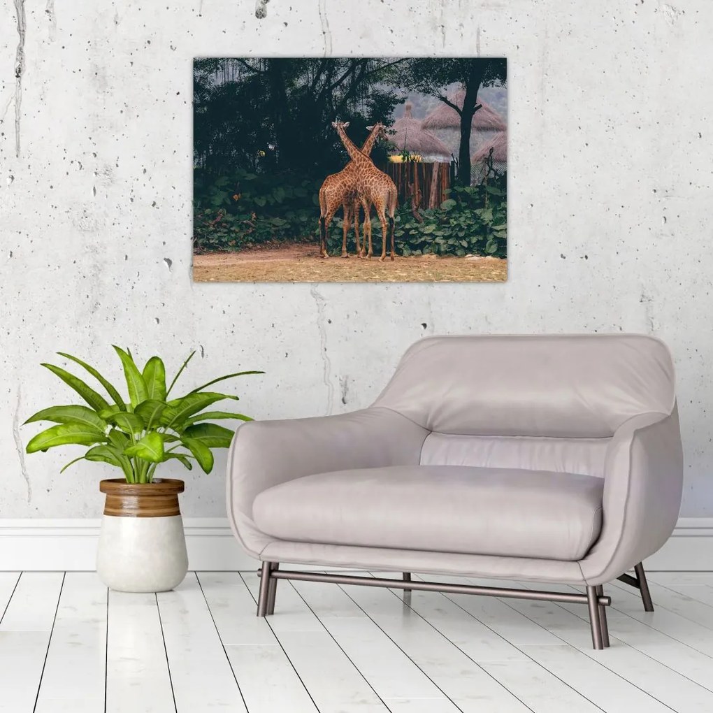 Tablou cu două girafe (70x50 cm)