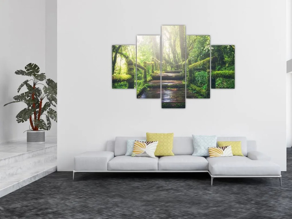 Tablou - trepte din lemn în pădure (150x105 cm)
