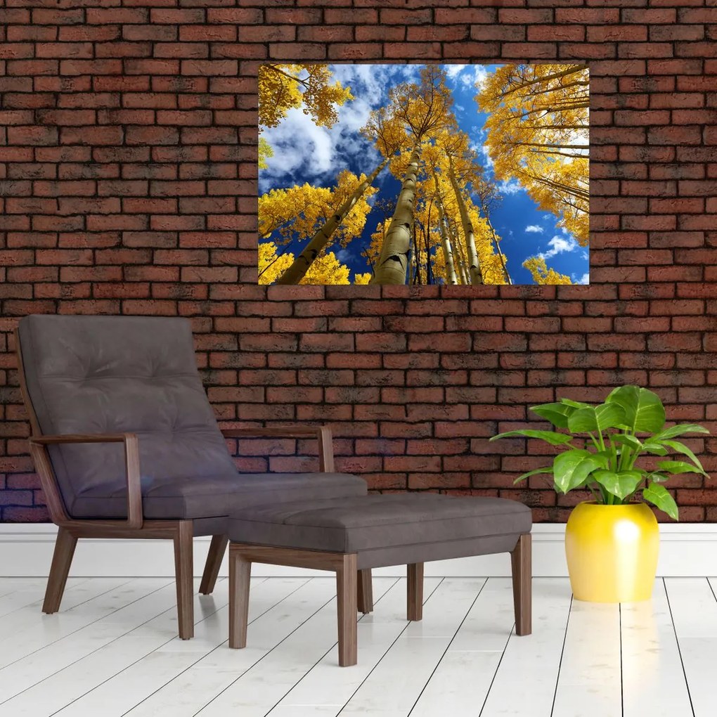 Tablou - Aspen (90x60 cm)