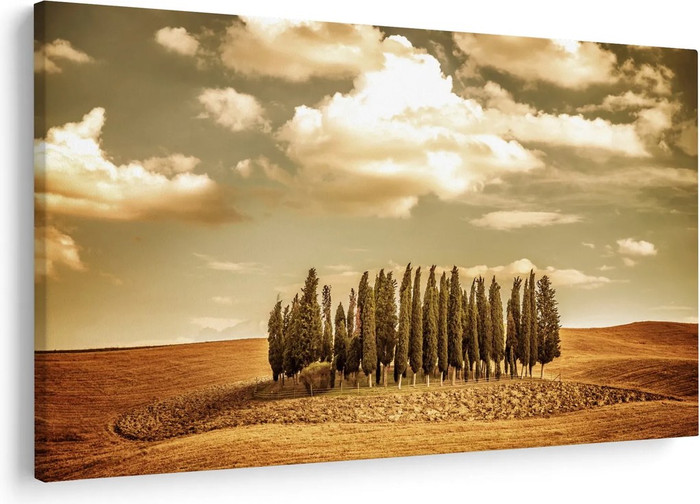Tablou cu luncă (90x60 cm)