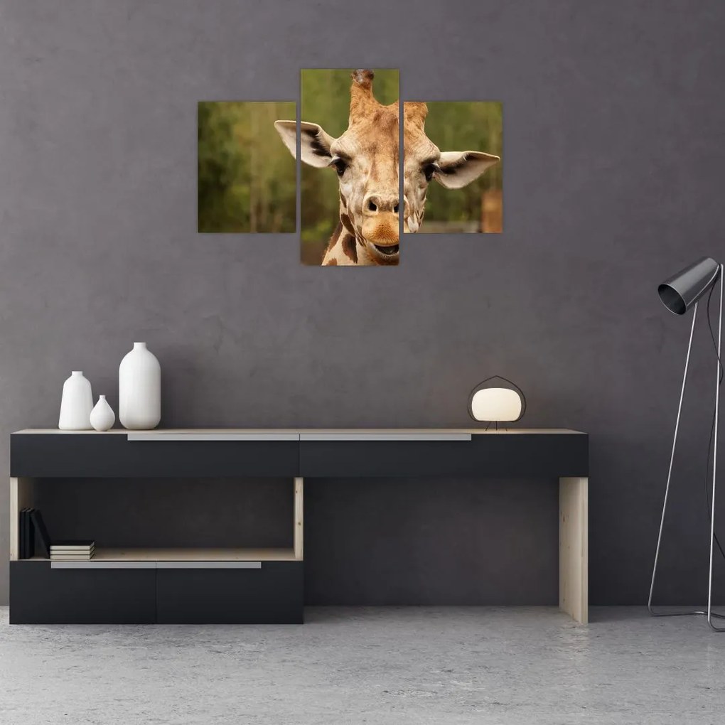 Tablou girafe (90x60 cm)