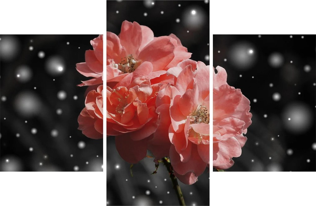 Tabloucu floare roz (90x60 cm)