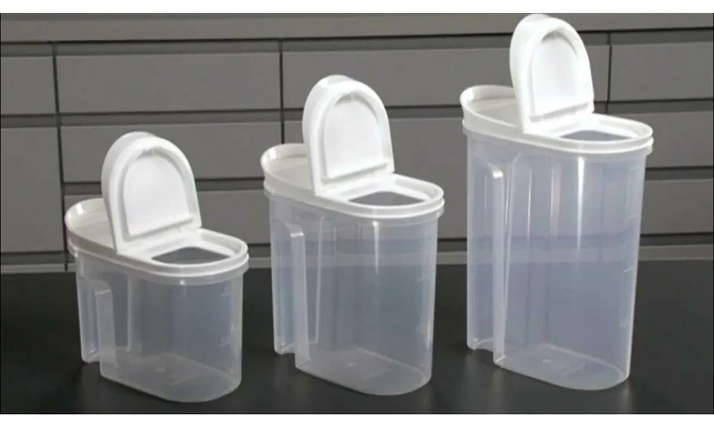 Tescoma Container 4FOOD, 1,0 l, 1 l