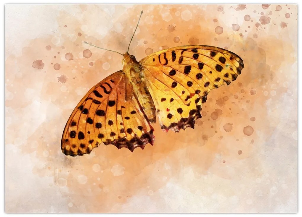 Tablou - Fluture portocaliu, aquarelă (70x50 cm)